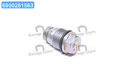 Клапан обмеження тиску (вир-во Bosch) 1110010019