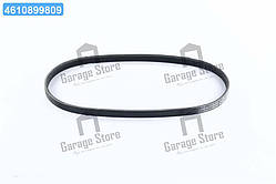 Полікліновий ремень DAEWOO, CHEVROLET Matiz (M200,M250) 1.0 [B10S1](Вир-во ContiTech) 4PK715