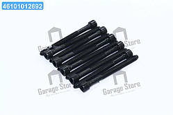 Комплект болтів VAG 1.8TSI/2.0 FSI/TFSI AXX/BGB/BPJ/BUL/BWA/BWE/BWT/BZB (вир-во PAYEN) HBS476