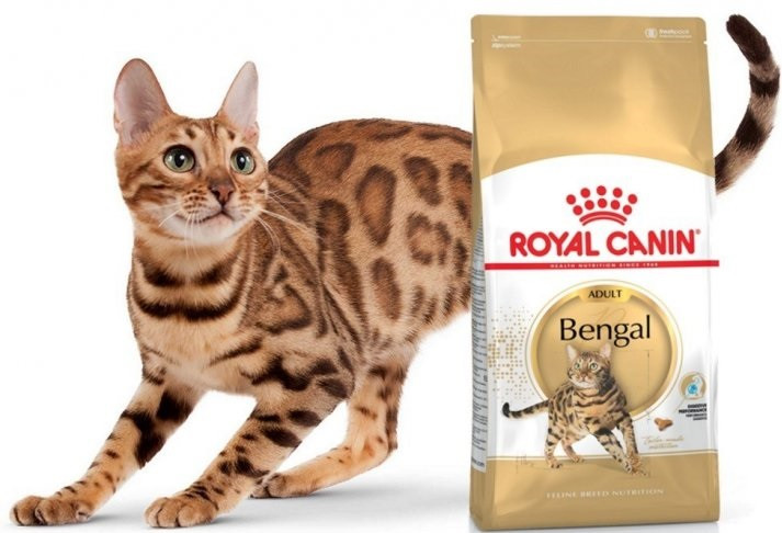 Royal Canin Bengal Adult (Роял Канін Бенгал) сухий корм для дорослих котів бенгальської породи 2 кг, фото 1