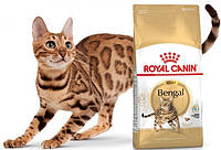 Royal Canin Bengal Adult (Роял Канін Бенгал) сухий корм для дорослих котів бенгальської породи 2 кг