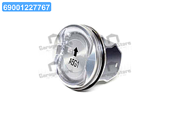 Поршень 25190026