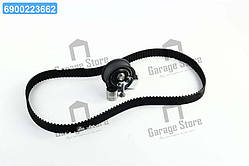 Комплекти натяжних роликів (вир-во INA) 530 0069 10