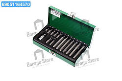 Набір біт 10мм TORX 15од. GAAD1506 (TOPTUL) GAAD1506