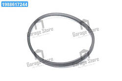 Ремінь 14х10х887 насоса вод. (вир-во Rubena) 14х10-887