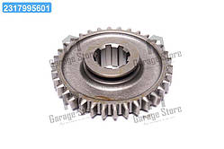 Шестерня 1-пер. і задн. ходу ЮМЗ, Z = 34 36-1701112-А2