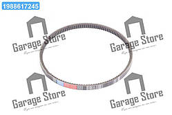 Ремінь 14х10х908 зубч. насос вод. (вир-во Rubena) 14х10-908 зуб