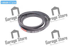 Ремінь 11х10х1450  672, ЛІАЗ-5251, ЗІЛ 157Л, ДП 75В, СМД 19, 20, СМД 18 (вир-во Rubena) 11х10-1450