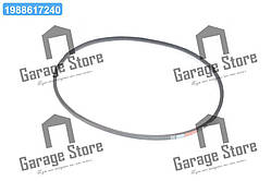 Ремінь 11х10х1500 СМД 18Н, ПАЗ (вир-во Rubena) 11х10-1500