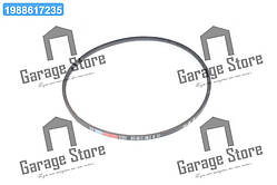 Ремінь 11х10х1250 МТЗ-80, -82, СМД-31-01 (вир-во Rubena) SPA 1250
