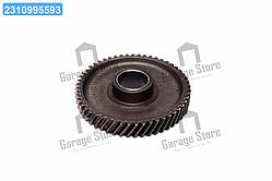 Шестерня проміжна р/валу, Z = 53 240-1006240-А2