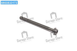 Болт ГБЦ (вир-во SsangYong) 6719900612