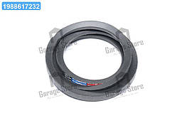 Ремінь 11х10х1180 помпа  8401  238АК (вир-во Rubena) 11х10-1180