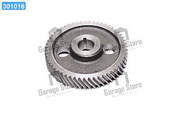 Шестерня приводу вала розподіл. Д 65, ЮМЗ 6 (вир-во Україна) Д04-005