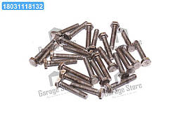 Болт М10х55х1,5 шестигранний (1кг = 1 компл) ГОСТ 7805-08 (Україна) М10х55