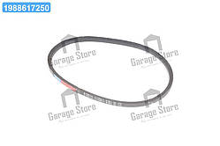 Ремінь 14х10х1040  236-238, Т 142 (вир-во Rubena) 14х10-1040