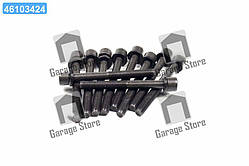 Болт головки блоку (компл.) DAEWOO/CHEVROLET/OPEL X18XE/C18XEL/C20XE/X20XEV/Z24XED (вир-во Elring) 803.010