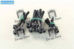 Болт головки блоку (компл.) MB 2.0D/2.3D OM601 (вир-во Elring) 820.106