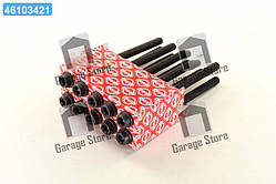 Болт головки блоку (компл.) FORD 2.0 DOHC 89- (вир-во Elring) 802.900