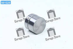 Гiдрокомпенсатор DAEWOO/CHEVROLET/OPEL Lanos/Aveo 1.6 16V/2.0 16V (вир-во Ina) 420 0059 10