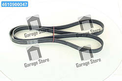 Полікліновий ремень CHEVROLET Lacetti хетчбек (KLAN) 1.8 [T18SED] (Вир-во ContiTech) 6PK1885