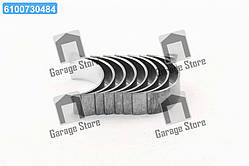 Вкладиші шатунні (0,25) RIO (06-), MATRIX (08-) (вир-во Mobis) 2306026985