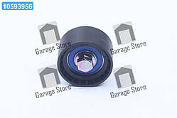 Заспокоювач ременя 2170 PRIORA (Вир-во DAYCO) ATB2543