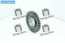 Шестерня редуктора пониж. зчеплення МТЗ  70-1721031