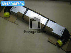 Інтеркулер FT DOBLO 1.9 JTD 01-(вир-во Van Wezel) 17004271