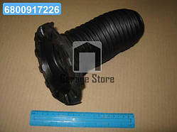 Пильник амортизатора передній Toyota Camry 01-06 Avalon Solara Lexus ES (вир-во Toyota) 4815733062