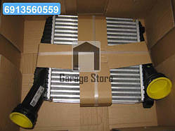 Інтеркулер AUDI Q7; PORSCHE CAYENNE (вир-во Nissens) 96611