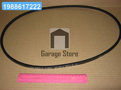 Ремінь 8,5 х8х1250 насоса вод. (вир-во Rubena) 8,5х8х1250