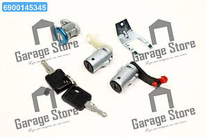 Личинка замка