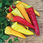 Перець солодкий Світ банана 0.3 (zip-paket), фото 2