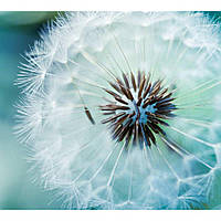 Макролінза GreenL Close-up +4 58 мм, фото 5