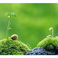 Макролінза GreenL Close-up +4 58 мм, фото 6