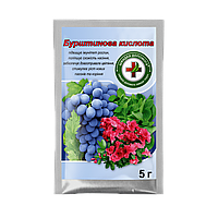 Бурштинова кислота 5гр
