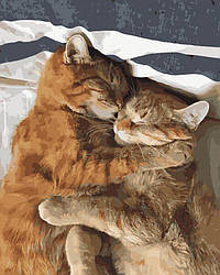 Розмальовка для дорослих Обійми котиків (NIK-N036) 40 х 50 см