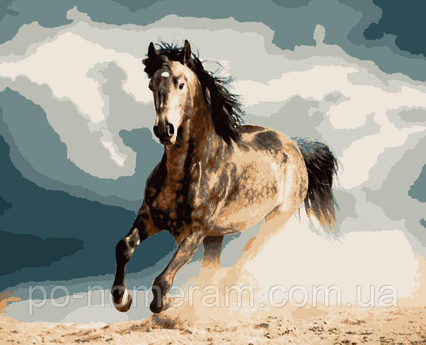 Купить Раскраски по номерам Artissimo Лошадь на берегу (ART-B-4340) 40 ...