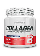 Коллаген BiotechUSA Collagen 300 g (Black Rasberry)