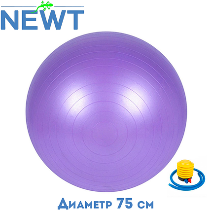 М'яч для фітнесу гімнастичний м'яч фітбол з насосом 75 см Newt HMS фіолетовий, фото 2