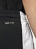 Шорты Jordan Dri-Fit Sport Mesh Shorts (DH9077-010), фото 7