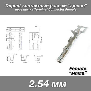 Пін Pin термінальний конектор 2.54 мм перемичка контактний роз'єм Дюпонт Dupont Terminal Connector Female