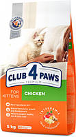 Сухий корм Club 4 Paws Premium для кошенят зі смаком курки 5 кг (4820083909108)