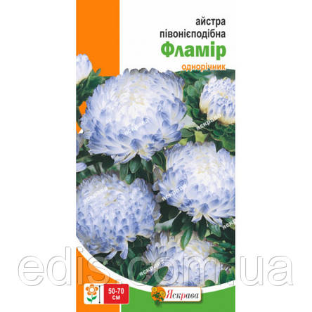Айстра півонієподібна Фламир 0,3 г насіння Яскрава, фото 2
