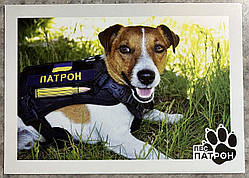 Поштова картка — Пес Патрон
