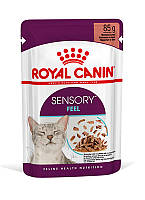 Влажный корм для кошек Royal Canin FHN SENSORY FEEL GRAVY 85 г