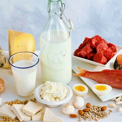 Роль білків у здоровому харчуванні: як вибрати найкращі джерела білків