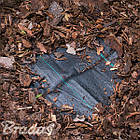 Агротканина проти бур'янів, РР, чорний, 
УФ, 70г, 1,6 х 10м, AT7016010, фото 3