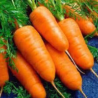 Семена моркови Каротель Агроном 20 г